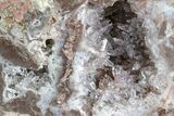 Las Choyas Coconut Geode Half with Inverse Scepter Amethyst #165540-1